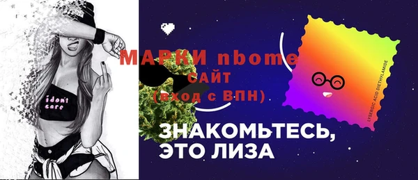 гашик Инсар
