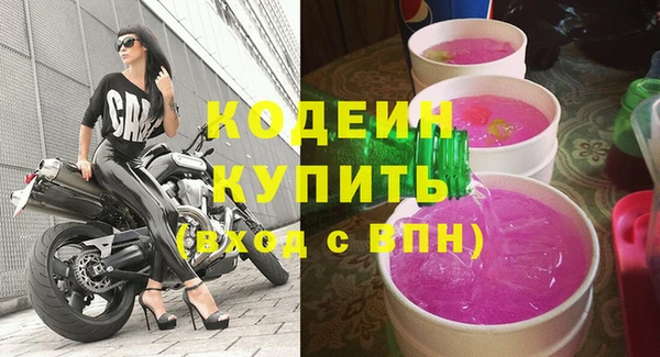 гашик Инсар