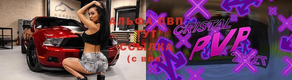 гашик Инсар