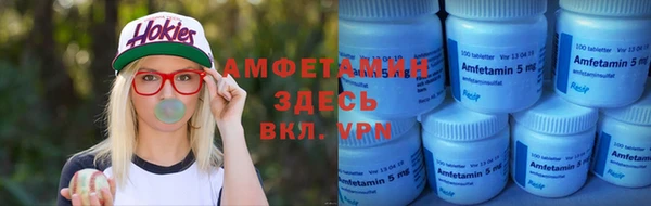 гашик Инсар