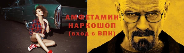 гашик Инсар
