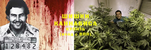 гидра Иннополис
