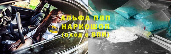 гашик Инсар