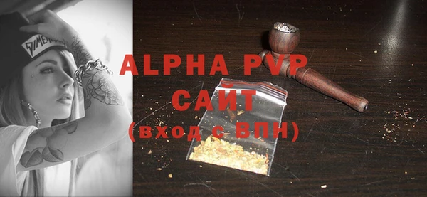 гашик Инсар