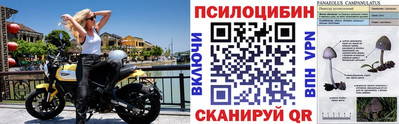 Галлюциногенные грибы Magic Shrooms  Купить где  Бокситогорск 